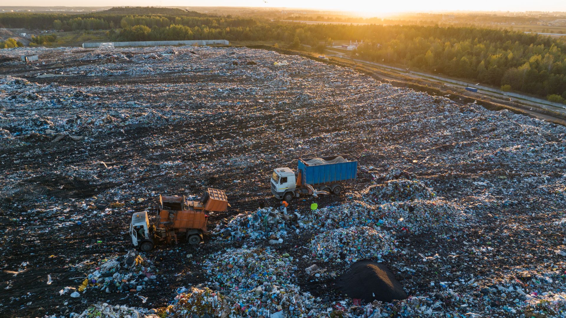 Combustibili rinnovabili | MTM Energia