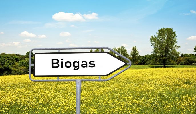 BIOGAS: “Opportunità per un futuro sostenibile”