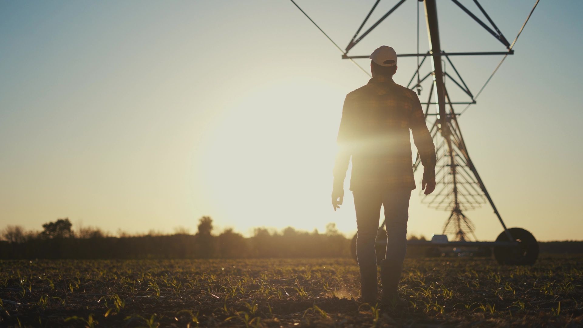 FER 2 e Comunità Energetiche, dalla terra all’energia: le opportunità per agricoltori e allevatori