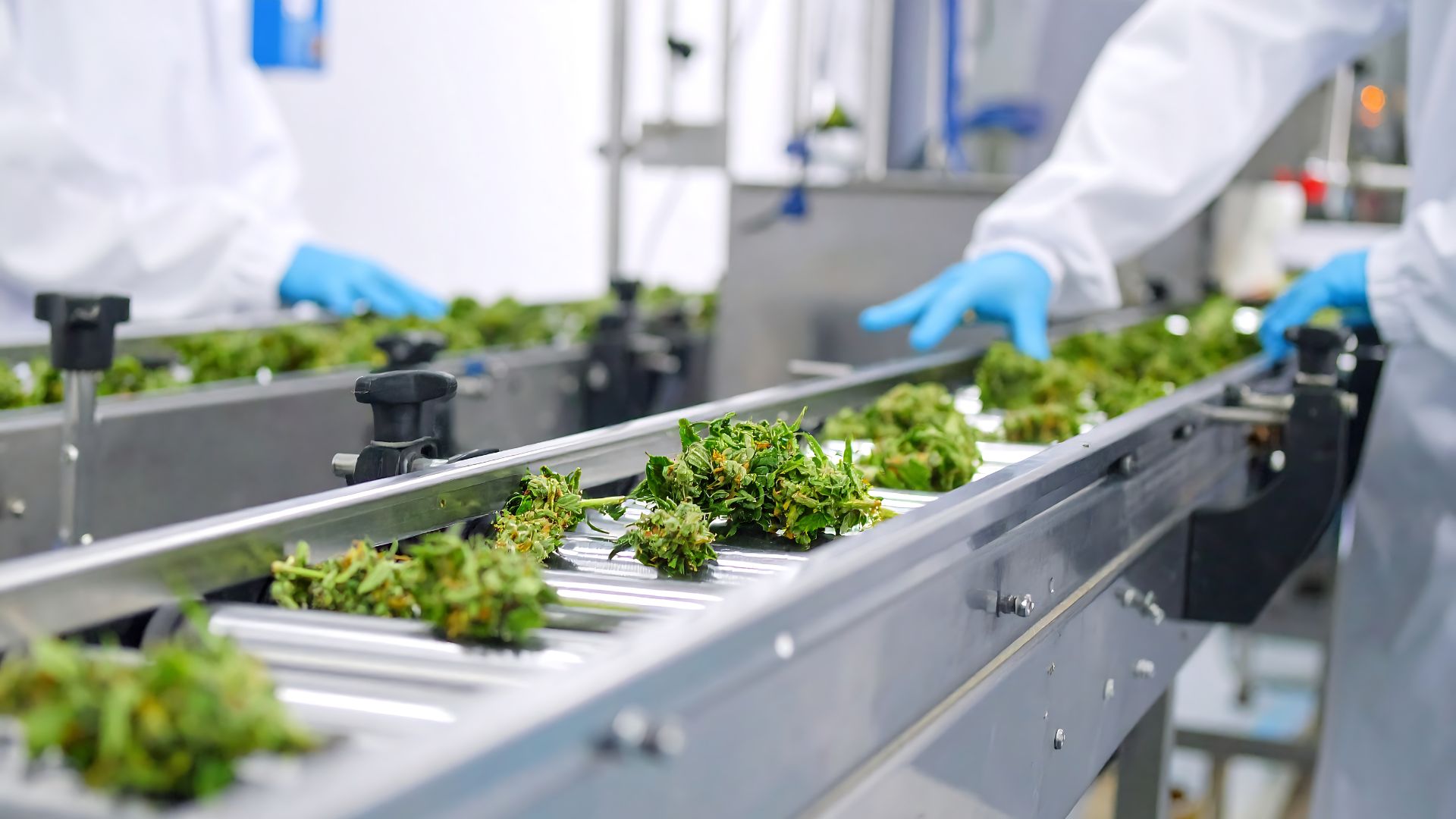 MTM Connect: la piattaforma consente di monitorare in cloud i dati macchina.